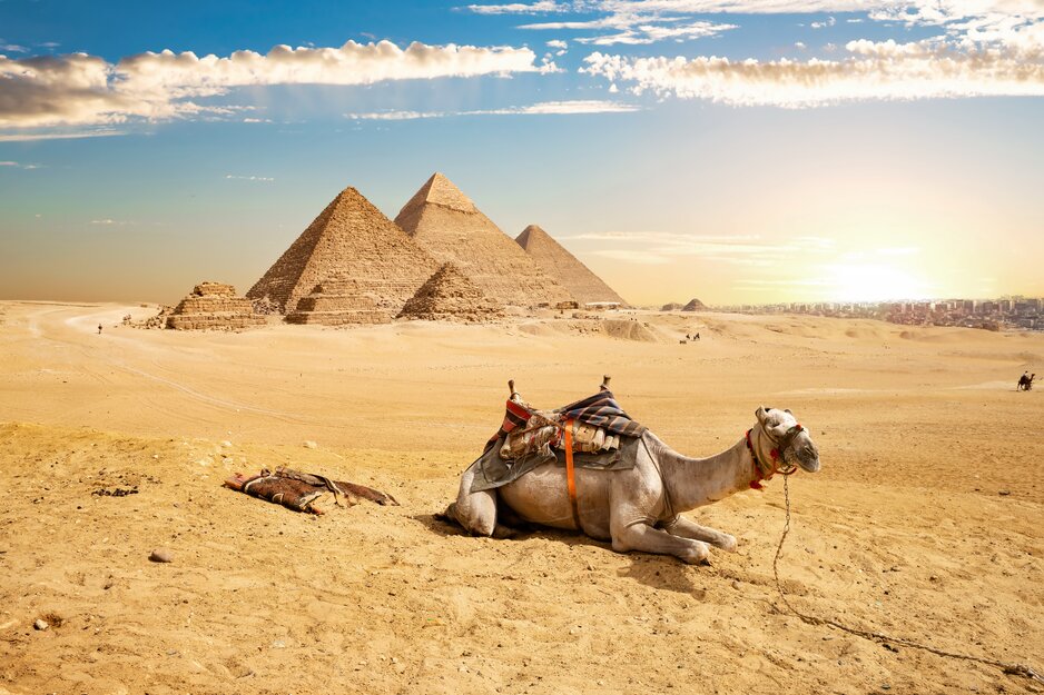 Kamel vor Pyramiden | © Envato Elements