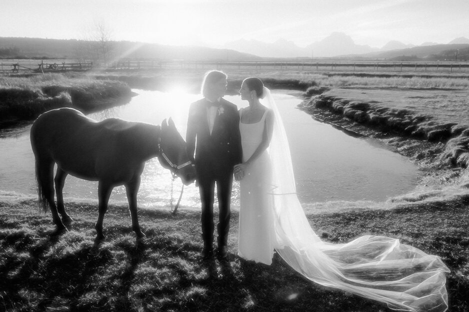 Elegantes Hochzeitspaar mit Pferd steht vor kleinem See in norwegischer Landschaft, Bild in schwarz-weiß | © Unsplash