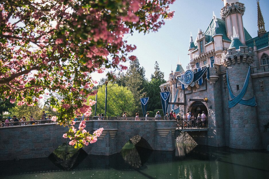 Brücke mit Touristen zum Eingang von Disneyland Paris, im Vordergrund Zweig mit rosa Blüten | © Unsplash