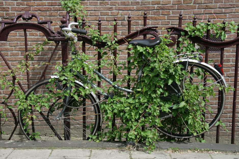Mit Efeu verwachsenes Fahrrad an Metallzaun vor roter Klinkermauer | © Linz Airport