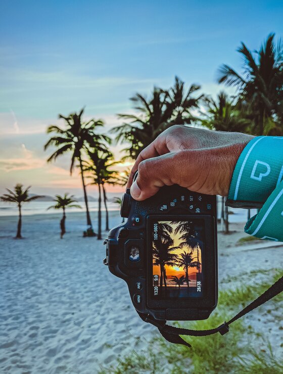 Sonnenuntergang und Palmen am Display einer Kamera | © Pexels