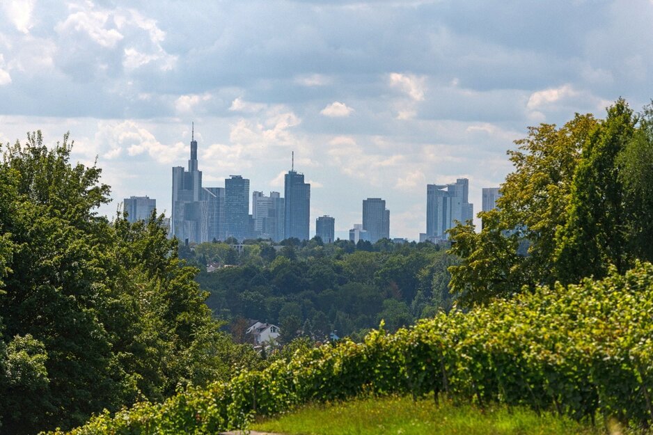 Blick auf die Skyline von Frankfurt von den Weingärten vom Lohrberg aus | © Holger Ullmann