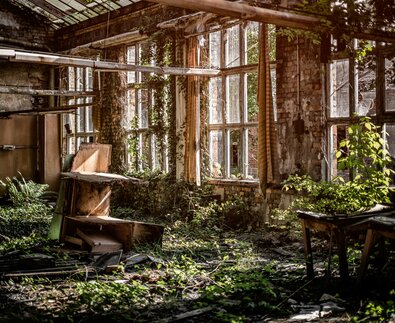 Von Pflanzen überwucherter großer Saal mit hohen Fenstern | © Unsplash