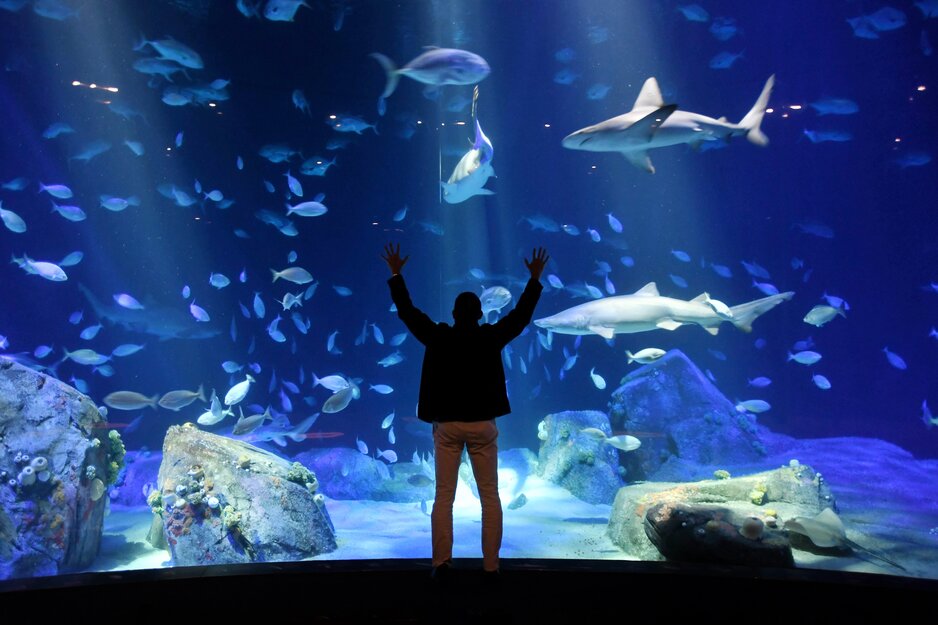 Palma Aquarium | © Envato Elements