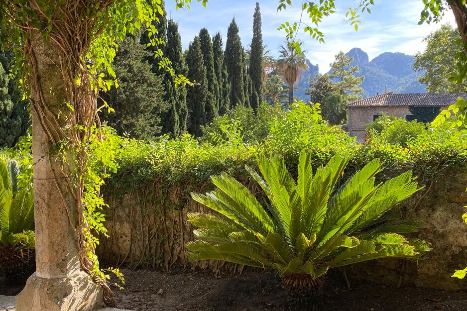 Wunderschöner Garten mit Palmen | © Envato Elements
