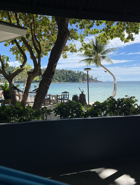 Vorgarten mit Palme am Meer in Koh Pangan | © Linz Airport