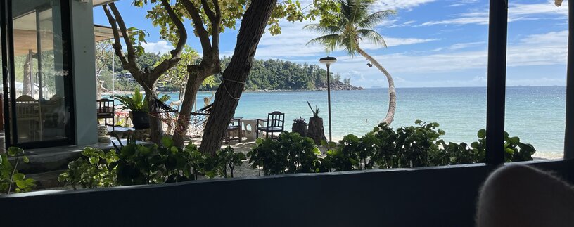 Vorgarten mit Palme am Meer in Koh Pangan | © Linz Airport