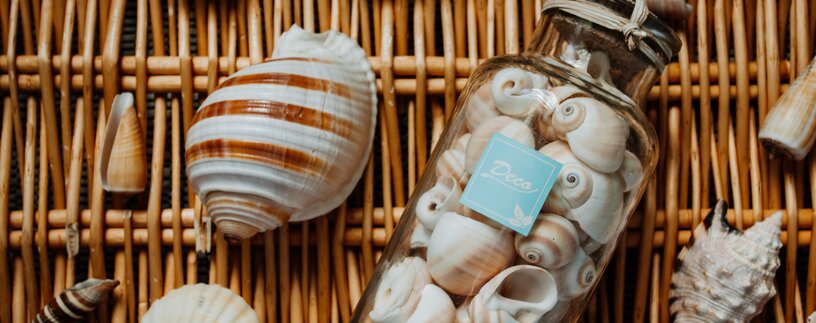 Lose Muscheln und Muscheln im Glas | © Pexels