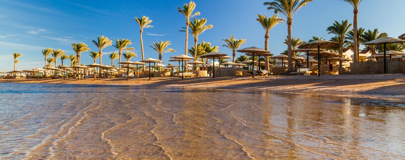 Strand mit Palmen in Hurghada  | © Envato Elements