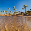 Strand mit Palmen in Hurghada  | © Envato Elements